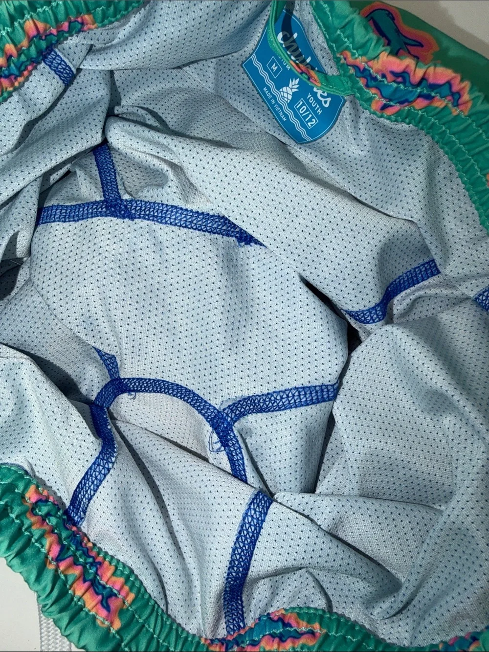 Boy's chubbies Teal Swim Trunks with Neon Shark‎ Print